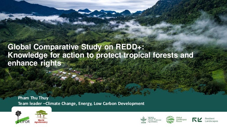 thumbnail of  Global Comparative Study on REDD+: Knowledge for action to protect tropical forests and enhance rights