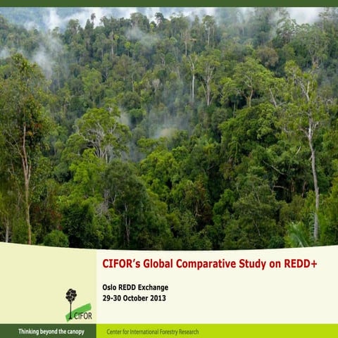 Global Comparative Study on REDD+ - The Project and Results
