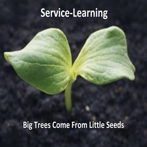 Gcsv2011 big trees grow from little seeds-roger bignham