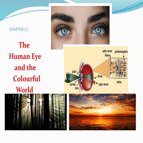 Class-X-Physics-Chapter-11-reflecton and refraction, properties of light