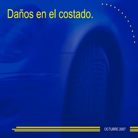 Grupo Autoexpress Guia de daños 4