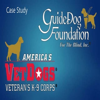 GDF Donor Engagement Case Study