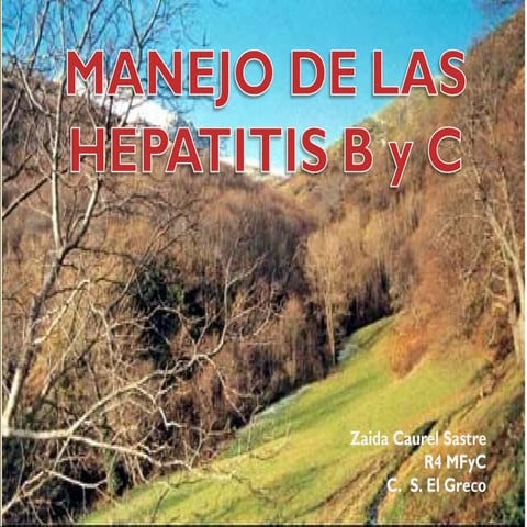 Virus de la hepatitis B. Características generales, métodos de ...