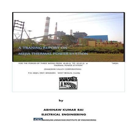 MEJIA THERMAL POWER STATION VT REPORT