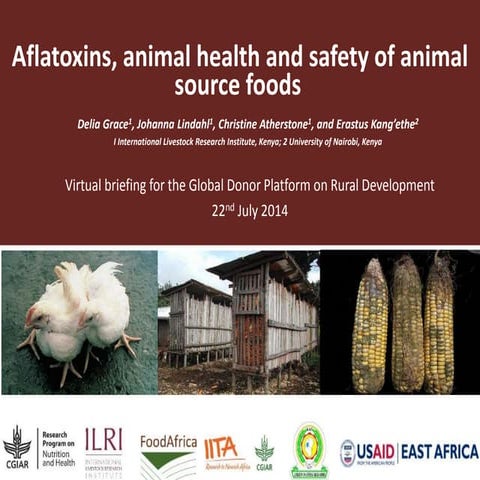 Aflatoxins, animal health and safety of animal source foods 