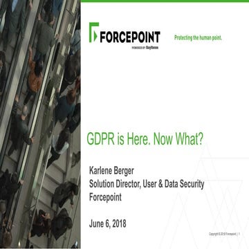 GDPR is Here. Now What?