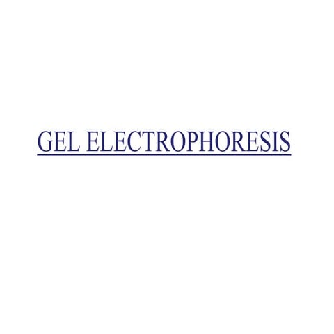 Gel Electrohoresis