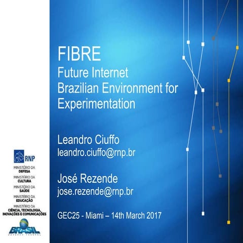 FIBRE presentation at GEC25