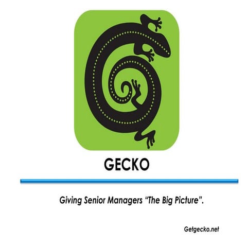 Gecko - Our story so far....April 2015 | PPT