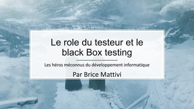 Le rôle du testeur et le Blackbox testing