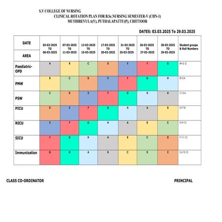 Clinical rotation plan EDITED SOFT COPY.documents | DOC