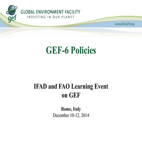 GEF  policies 