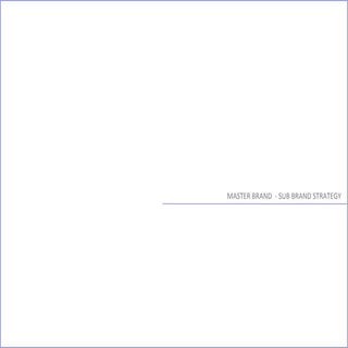 Geico case study - Master Brand