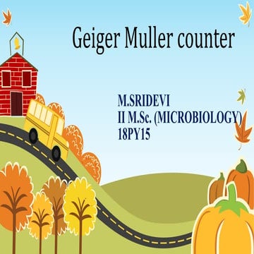 Geiger muller counter
