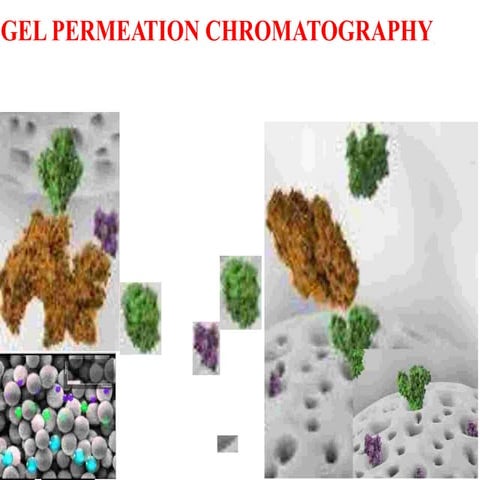 Gel-Chromatography.pptx