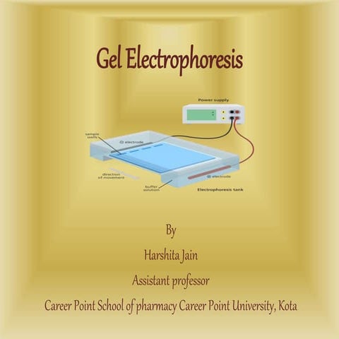 Gel electrophoresis
