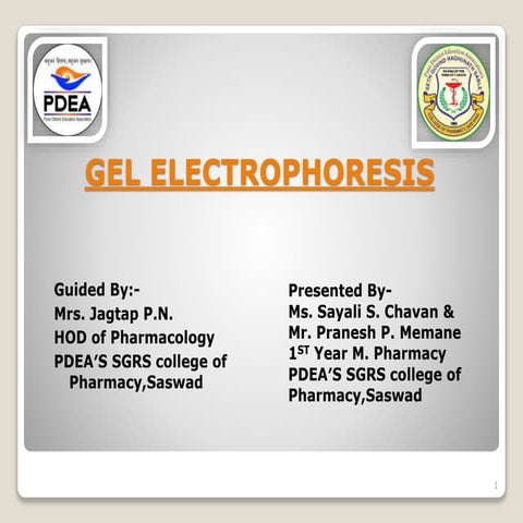 Gel electrophoresis