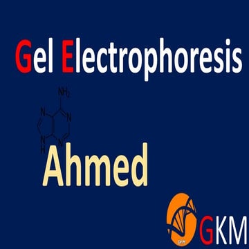 Gel electrophoresis