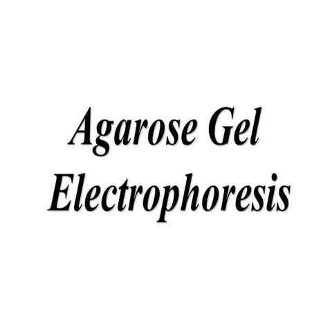 GEL ELECTROPHORESIS.ppt