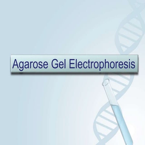 Gel Electrophoresis technology science a