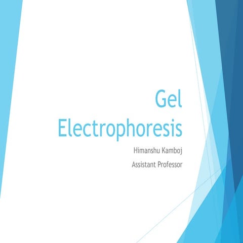 Gel electrophoresis himanshu