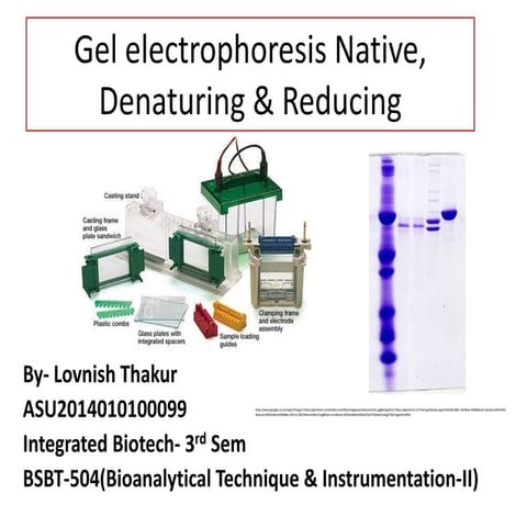 Gel electrophoresis native, denaturing&amp;reducing