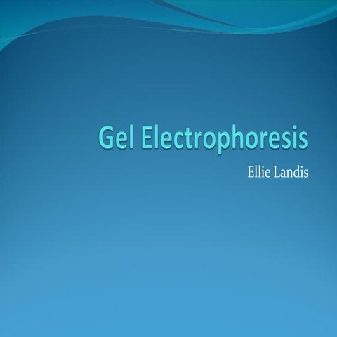 Gel electrophoresis power point