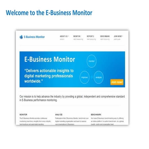 E-Business Monitor introduction