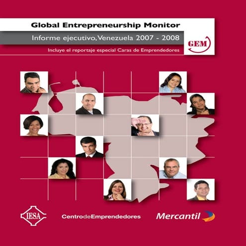 Gem 2007 2008 Venezuela Iesa