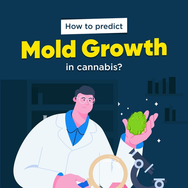 Cannabis How to Predict Mold Growth PDF