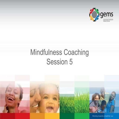 Mindfulness Session 5 - Goals
