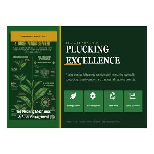 Comprehensive Guide to Tea Plucking Mechanics and Bush Management for ...