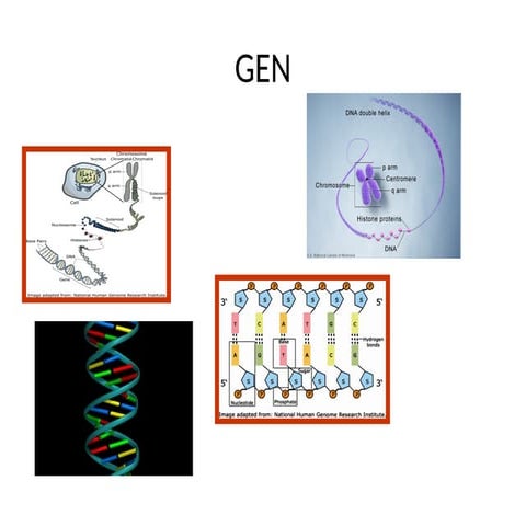 GEN.pptxgggggggggggggggggggggggggggggggggggggg