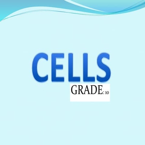 CELL