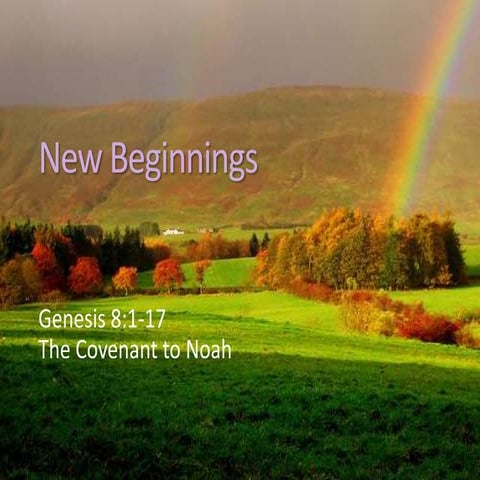 New Beginnings - Genesis 9:1-17