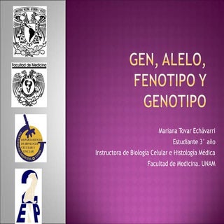 Gen, alelo, fenotipo y genotipo