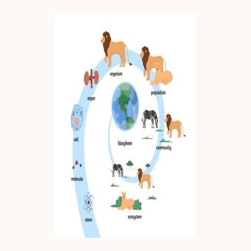 GENERAL BIOLOGY EVOLUTION LESSON STEM STRAND