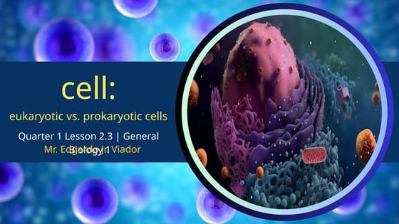 Eukaryotic Cells and Prokaryotic Cells - STEM | PPTX
