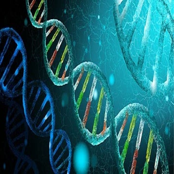 GENERAL BIOLOGY II GENETIC ENGINEERING.. | PPTX