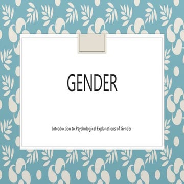 Gender   kohlberg