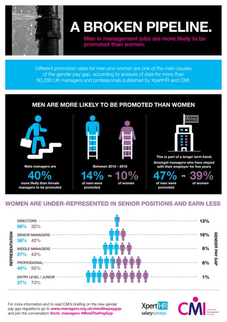 Gender Salary Survey 2016 Infographic