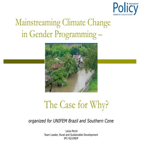 Gender and climate change for UN Officials
