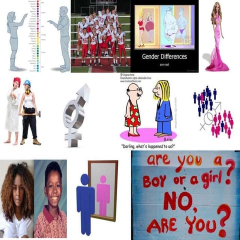 Gender and sexuality