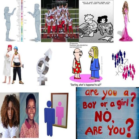 Gender and sexuality