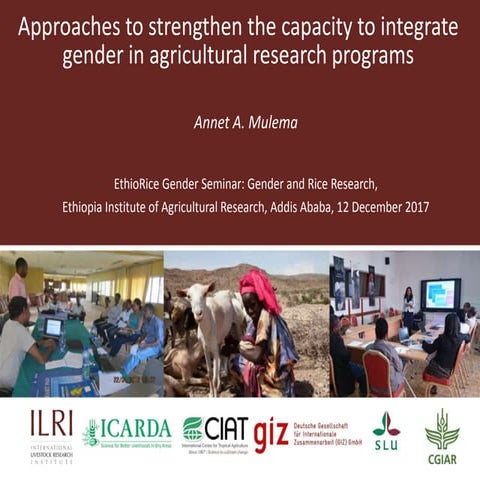 Approaches to strengthen the capacity to integrate gender in agricultural res...