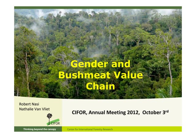 thumbnail of  Gender and bushmeat value chain
