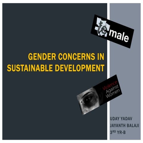 Gender concerns in sustainable development