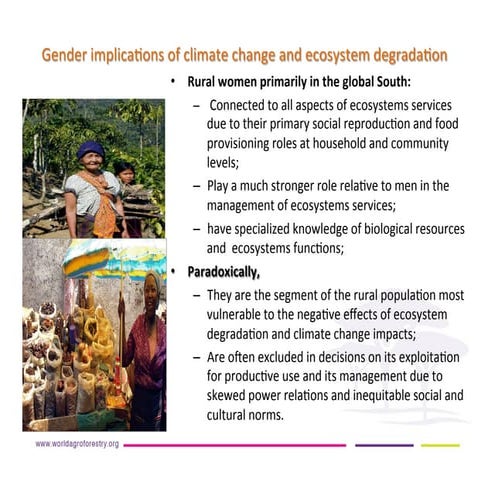 Gender implications of climate change and ecosystem degradation