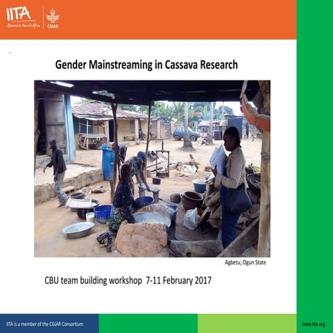 Gender Mainstreaming in Cassava research