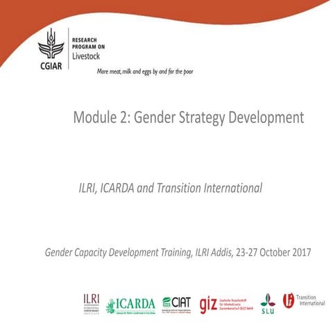 Module 2: Gender Strategy Development